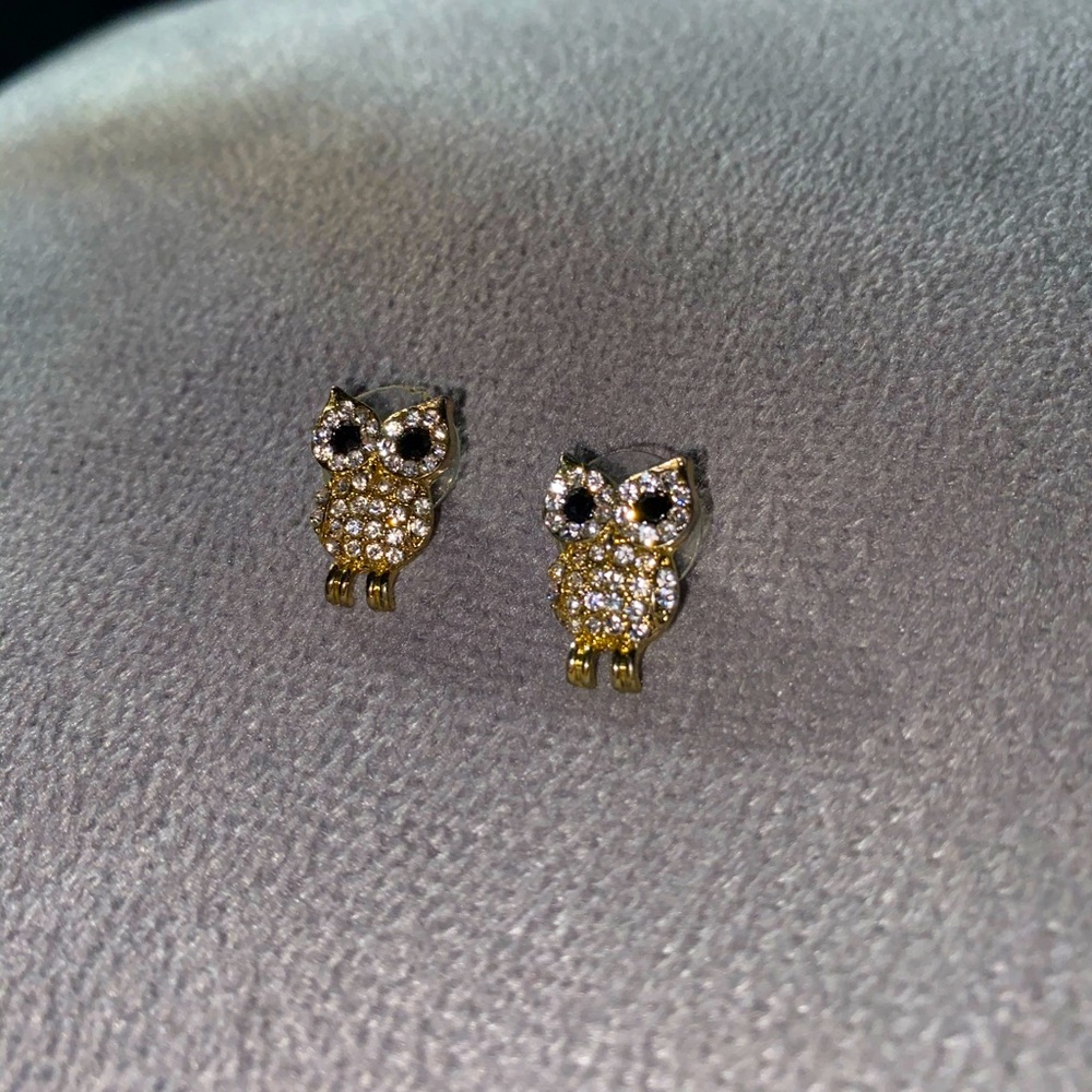 Owl stud earrings